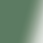 Shiny Metallic Dark Green