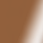 Shiny Metallic Dark Brown