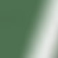 Shiny Military Green